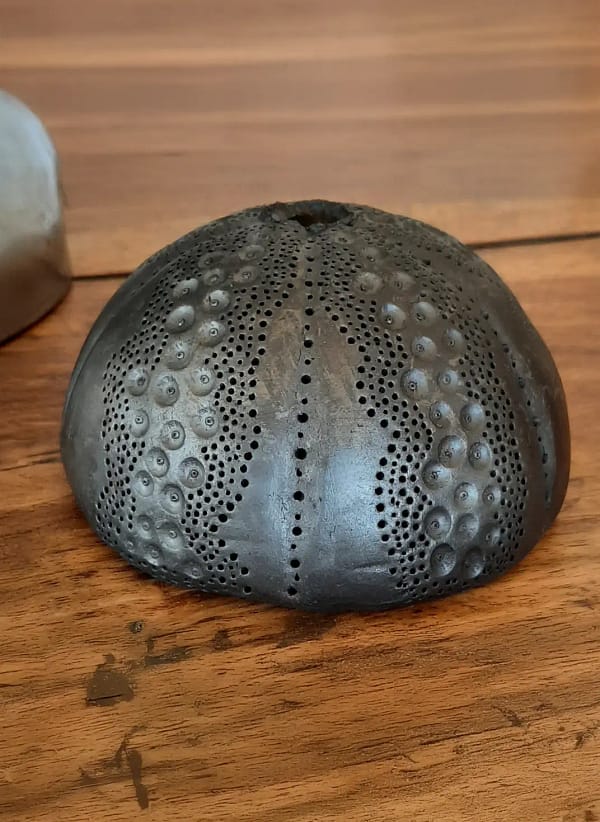 Oursins décoratifs en céramique – Éclats marins pour votre intérieur